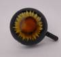 Bell sunflower